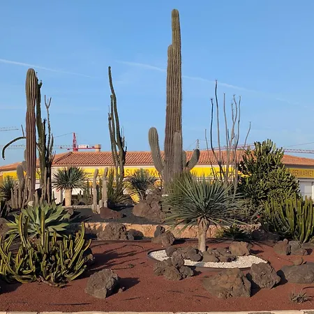 Casa Miro Apartamento *